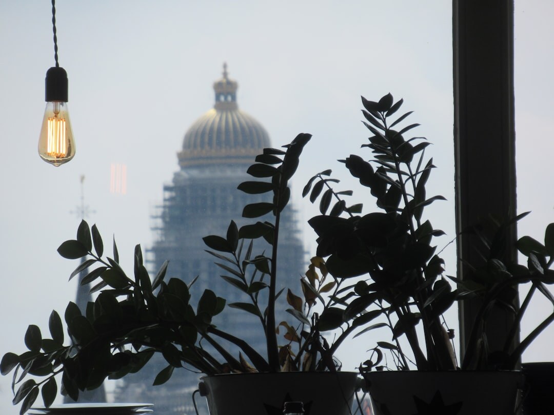 Modern office space with plants in Brussels